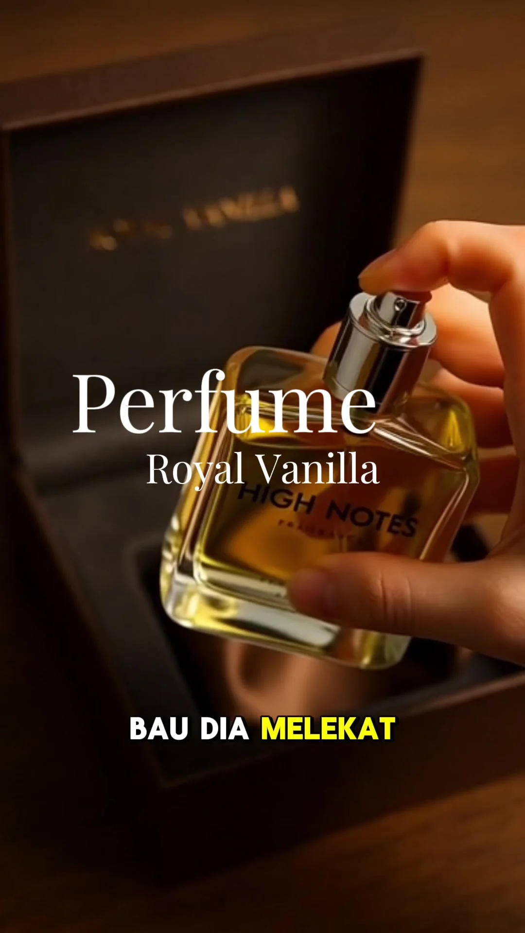 Sora 2级别电商视频生成演示