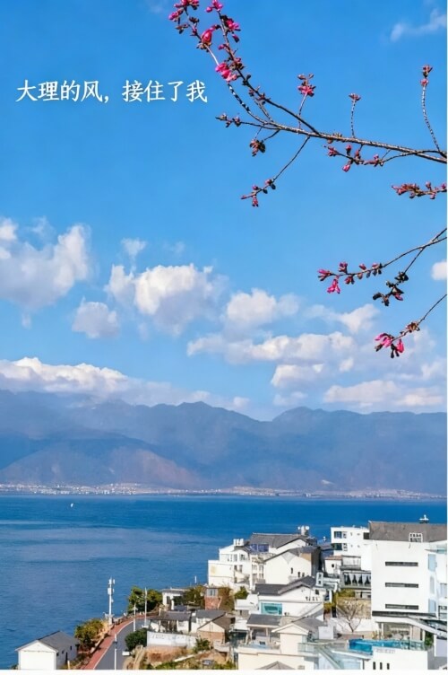 封面示例图-大理的风接住了我